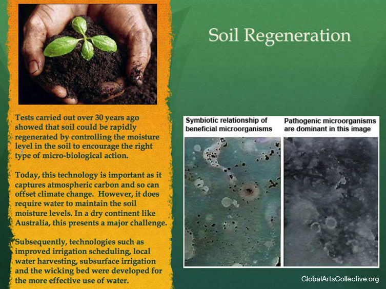 soil regeneration