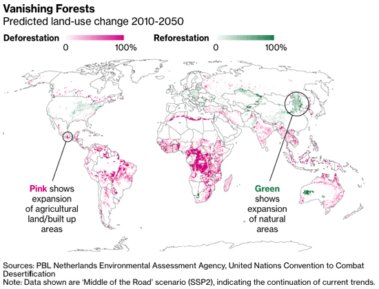 Vanishing forests