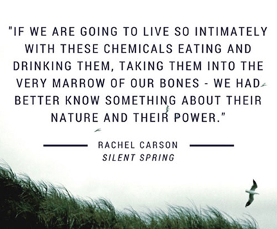 Rachel Carson