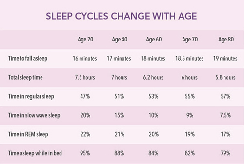 Sleep Cycle Stages Chart
