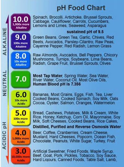 Alkaline Vs Acidic Foods Chart